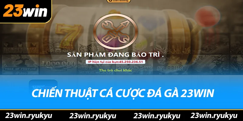 Đá Gà 23win Chiến thuật cá cược đá gà 23win