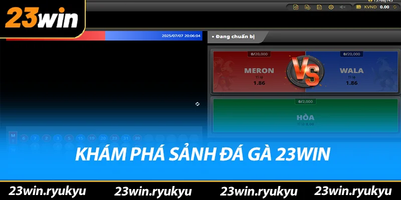 Đá Gà 23win Khám phá sảnh đá gà 23win